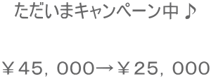 ただいまキャンペーン中♪ ¥45,000→¥25,000